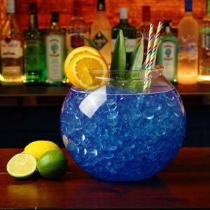 XL Plastic Fishbowl 5 liter