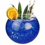 XL Plastic Fishbowl 5 liter_